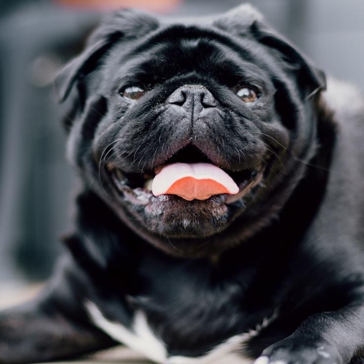 School environment for families in London, United Kingdom